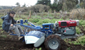 hot sale in South America Walking tractor 6