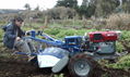 hot sale in South America Walking tractor