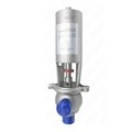 Compass Sanitary Hygienic Stainless Steel Pneumatic Flow Diverting Valve 3