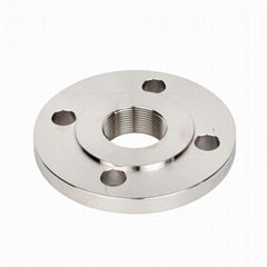 Fenry DIN 2567 PN40 Stainless Steel 316L Female Threaded Flange 