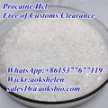 buy Procaine hydrochloride China supplier CAS 51-05-8