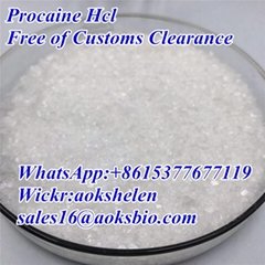 buy Procaine hydrochloride China supplier CAS 51-05-8