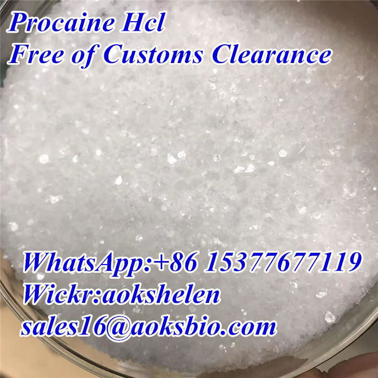 buy Procaine hydrochloride China supplier CAS 51-05-8 2