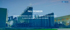 Beijing Peking University Pioneer Technology Co Ltd Beijing Peking University Pioneer Technology Co Ltd