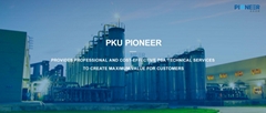 Beijing Peking University Pioneer Technology Co Ltd