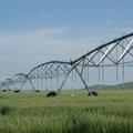 Center pivot irrigation system 4