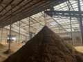 Gengze New Design Dairy Farm Cows Bedding Materials Recycling System  5