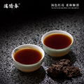 古树普洱七子饼茶 3