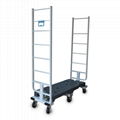 Six Wheels Trolley with Fixed Handles 1