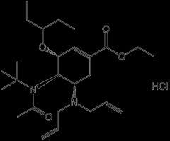 CAS NO.651324-08-2  (3R,4R,5S)-Ethyl 4-(N-(tert-butyl)acetamido)-5-(diallylamino