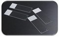 Postive Charged Adhesion Microscope Slides Relab RM7203