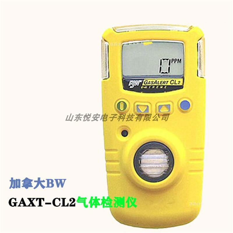 加拿大BW GAXT-H 便携式硫化氢检测仪 H2S检测仪 硫化氢报警器  4