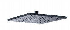 Matte black shower head