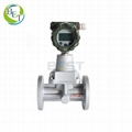 Vortex Natural Gas Flow Meter