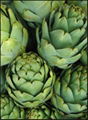 artichoke extract 1