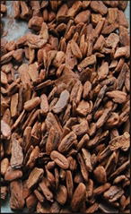 pine bark extract