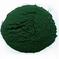 spirulina extract