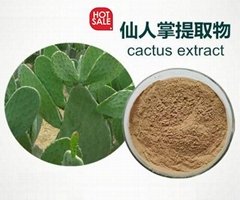 Cactus extract