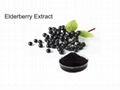 Elderberry extract