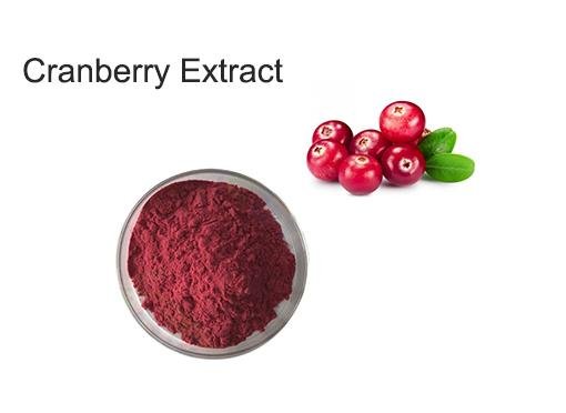 cranberry extract 1