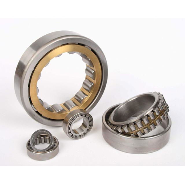 NU203~NU244 17mm~ 75mm Cylindrical Roller Bearings 2