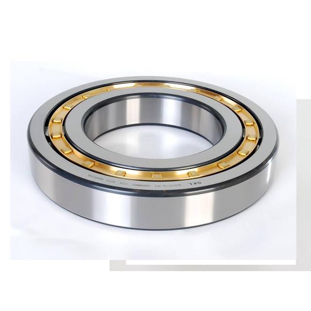 NU203~NU244 17mm~ 75mm Cylindrical Roller Bearings 3