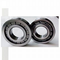 GCr15 Double Row SL014838 Cylindrical Roller Bearings