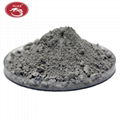 mullite castable refractory 1