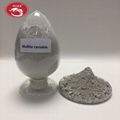 mullite castable refractory 2