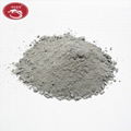 low castable cement