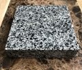 Medium grey cubic stone 10x10x5
