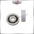 China Factory Plastic Ball Bearing, Plastic Roller Wheel, Plastic Coated Bearing