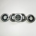 China Factory Manufacturer Roller Shutter Bearings as per Samples or Drawings 5