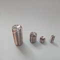 High quality Stainless steel SS304 SS316 set screw / tip screw DIN914  2