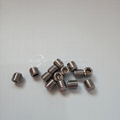 High quality Stainless steel SS304 SS316 set screw / tip screw DIN914 