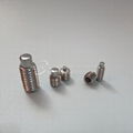 DIN916 Inner Hex Socket Set Screws With Cup Point 304 Stainless Steel OEM Stock  6