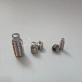 Stainless Steel Hexagon Socket Set Screws with Cone Point DIN914