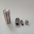 304# Stainless Steel DIN 915 Full Dog Point Socket Set Screws 3