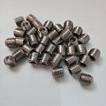 Stainless Screws with Cup Point and