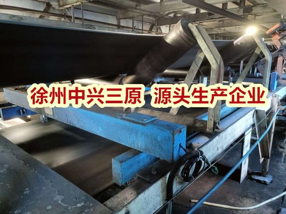 電子皮帶秤高精度皮帶秤(徐州三原源頭生產企業) 2