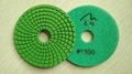 (Level A) 3inch 80mm Diamond Resin Wet Flexible Polishing Pads 2