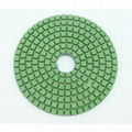 (Level A) 3inch 80mm Diamond Resin Wet Flexible Polishing Pads 3