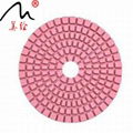 （Leval B）3inch 80mm Diamond Resin Wet Flexible Polishing Pads 1