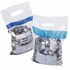 Coin Deposit Bags 20208