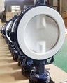 Butterfly valve with PTFE liner-1