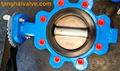 Lug type butterfly valve