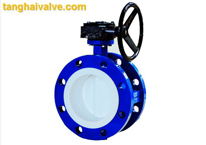 Double flange butterfly valve 5