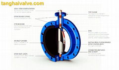 Double flange butterfly valve