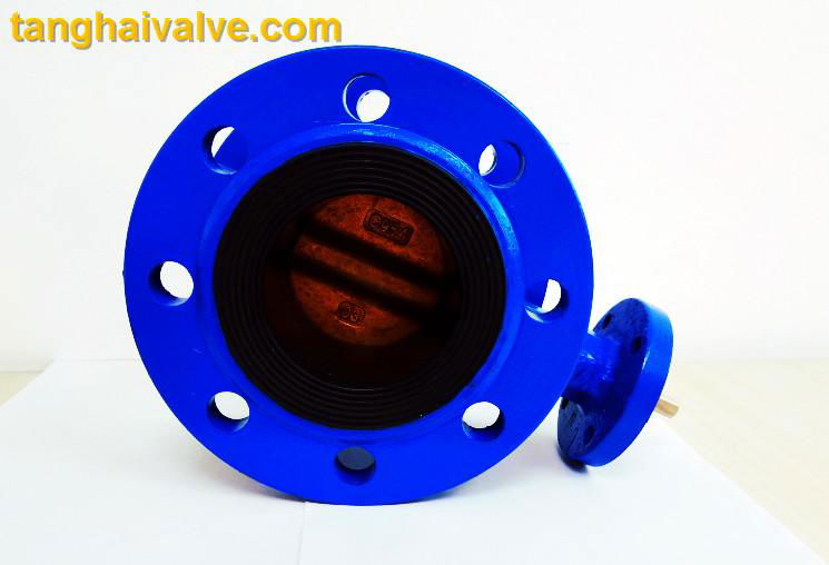 Double flange butterfly valve 2