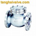 lift swing check valve-4